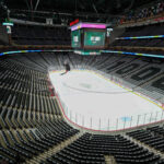 Marc-Andre Fleury career stats